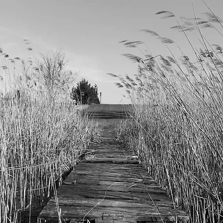 W4 Deluxe W Bielawie - Gory Sowie Appartamento Bielawa (Dzierzoniow)