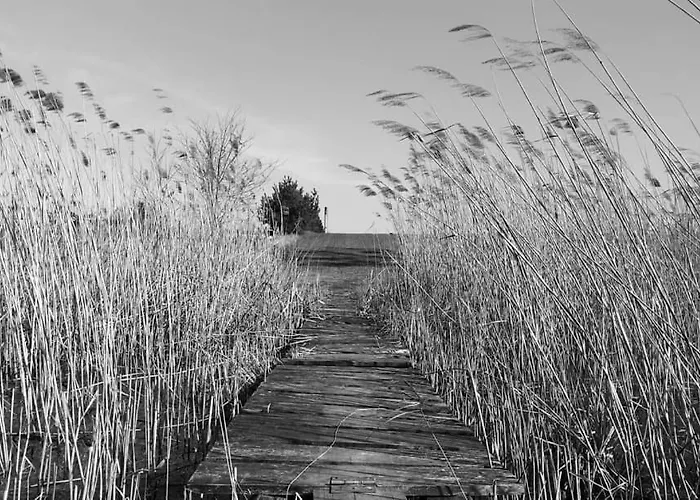 W4 Deluxe W Bielawie - Gory Sowie شقة بيلافه