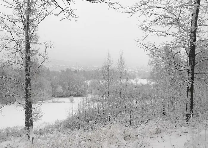 W4 Deluxe W Bielawie - Gory Sowie